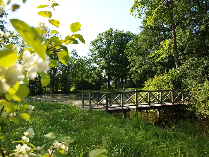 pastaiga parkā